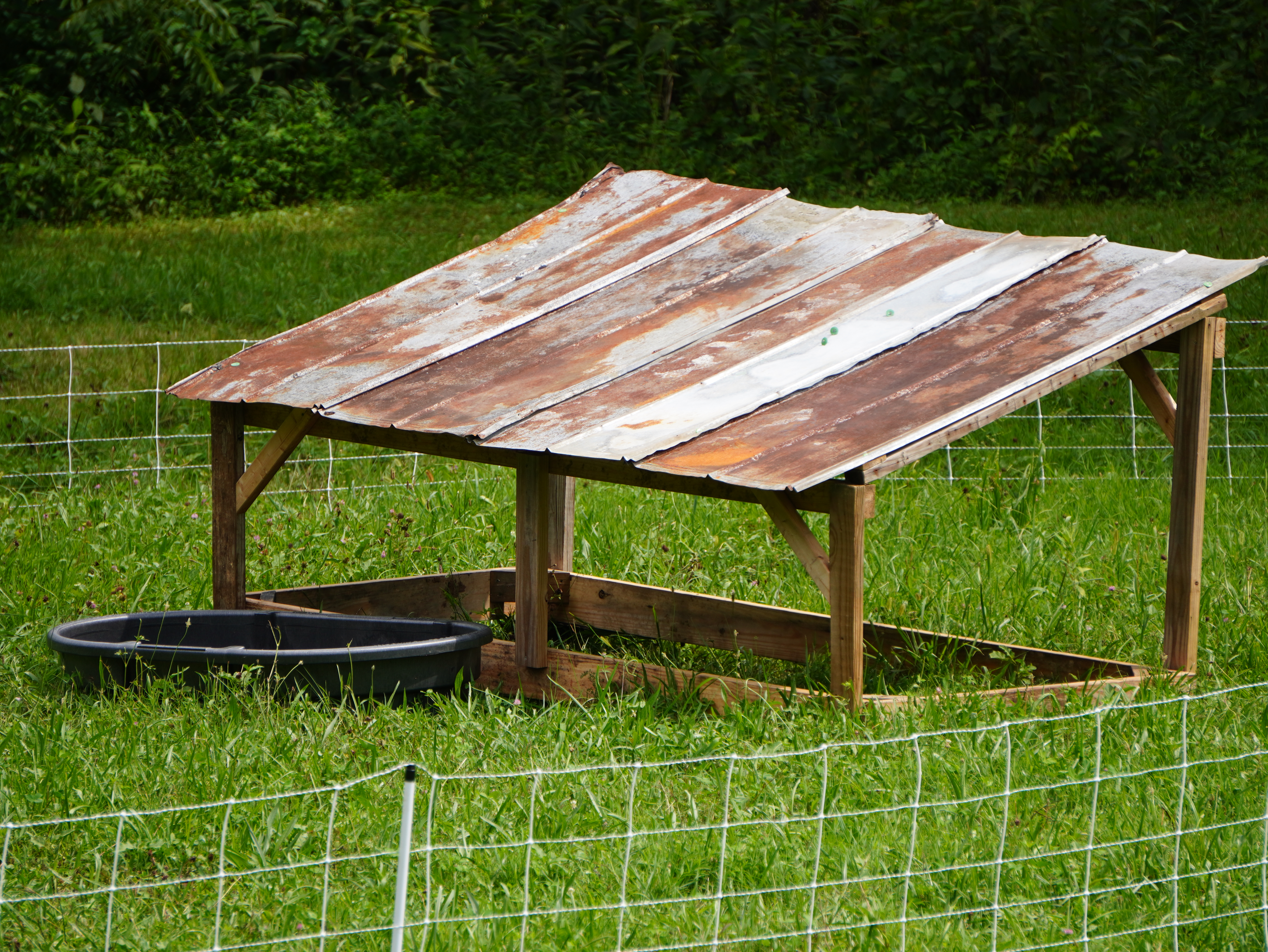 How to Build an Affordable Pig Shed